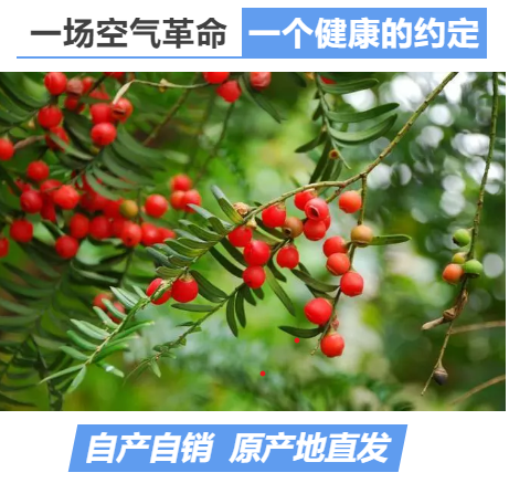 必赢亚洲·bwin(中国区)官方网站