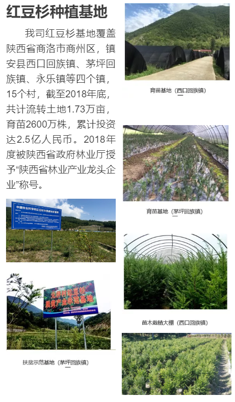必赢亚洲·bwin(中国区)官方网站