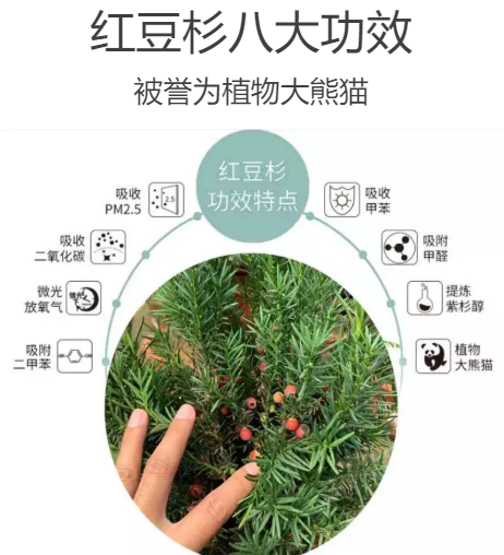 必赢亚洲·bwin(中国区)官方网站