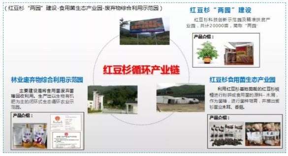 必赢亚洲·bwin(中国区)官方网站